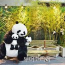 대숲향기 이미지