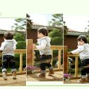 세이치즈 이미지