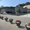 4736 국제뉴스