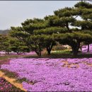 잔디공원 이미지