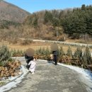 가평 양떼목장 이미지