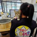 강원부동산중개사무소 이미지