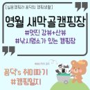 새막골 캠프 | 강원 영월 새막골캠핑장 : 낚시 명소 캠핑장, 산뷰와 강뷰를 즐길 수 있는 곳, 사이트 큰 캠핑장 / 영월...
