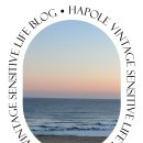 알프스비치 이미지