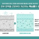 제네시스성형외과의원 이미지