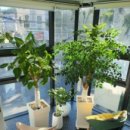 바디그리기 이미지