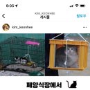 김건희농장 뉴스1