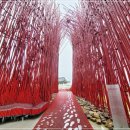 영월Y파크(술샘박물관) 이미지