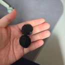 파파존스피자 미아점 | 1013-1019 [막바지에 시작된 바느질 태교와 출산 준비]