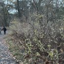 베베앙드레 | 테니스 3주차