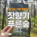 잣향기푸른숲 축령백림관 | 가평 잣향기푸른숲- 좌 축령산, 우 서리산 산악형 치유의 숲