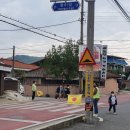 죽향초 이미지