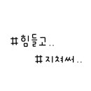 도량도량식당 이미지