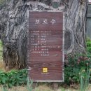 용방면사무소 앞 이미지