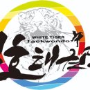 은평 백호 태권도장 이미지