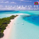 ㈜월드플러스여행사 | 몰디브 신혼여행 리조트 추천, 21곳 비교 끝에 '아바니+ 파레스'를 고른 이유