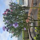 홍천(양양)휴게소 이미지