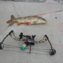 잉어물놀이 이미지