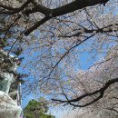 블루파크 | [부산] 해운대 블루라인파크 해변열차 탑승 후기 &amp; 예매 꿀팁 (Busan Beach Train)