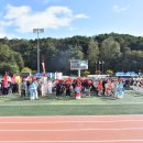 봉화공설운동장 이미지