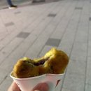 꽈백 최선생 이미지