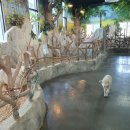 교감 | 쥬니멀 초정행궁점 주차 및 아이랑 청주 실내동물원 교감체험 후기