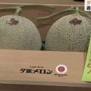 멜론 - 안산시 단원구 | 멜론