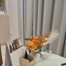 강남심리상담센터 위드놀 강남점 후기