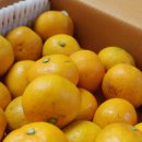 새안농장 이미지