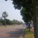 중문동-22 이미지