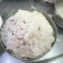 청량리 노포 밥집 정성식당 소금구이 김치찌개 제육볶음 후기