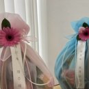 씨티청과 이미지