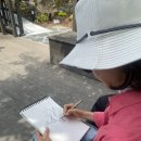 펜으로 그려보는 기초 어반드로잉 이미지