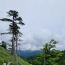 일본 오다이가하라(大台ヶ原山, Mt.Odaigahara) : 고원 능선따라..... 이미지