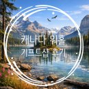 캐나다 워킹홀리데이 기프트샵 한인잡 후기 (2주만에 그만둠)