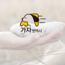 가자펫택시 이미지