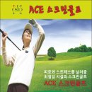 Ace골프스크린 이미지