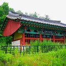 잡초에 묻혀있는 김시약 장군 삼부자 &#34;충효3문&#34; 방문기/김시민장군선양회