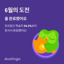 수련꽃차 | 6월 결산