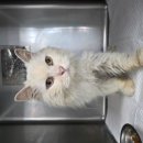 회원동225 이미지