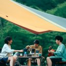 푸른나무 태권도 | 🏕️ 국내 최고의 캠핑장 추천 리스트