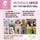 뷰티몽 이미지