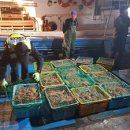 동해-단속-25 이미지