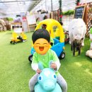 동심농장 이미지