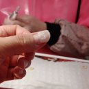 네일 다브 이미지