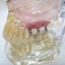 햇살좋은치과의원 이미지