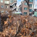 면목천로 어르신 쉼터 이미지