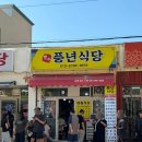 속초 중앙시장 근처 맛집 아침식사 가능한 풍년식당 오징어해장국 후기 주말 웨이팅