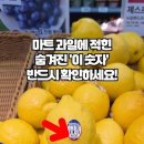 마트에서 과일 장보기 하실 땐 다른거 말고 숫자를 꼭 보셔야 합니다. 특히 수입산 살 때 꼭 알아야하는 꿀팁! 이미지