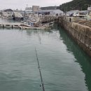 신진도민박 이미지